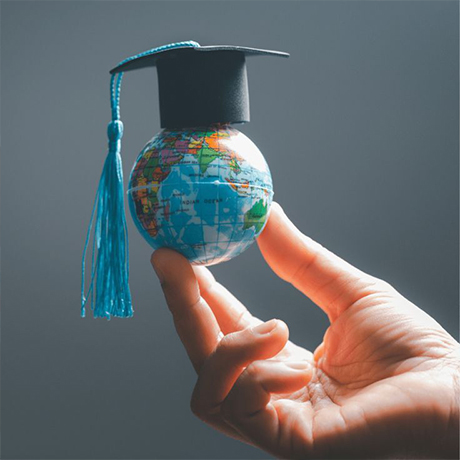 Study Abroad Consultancy